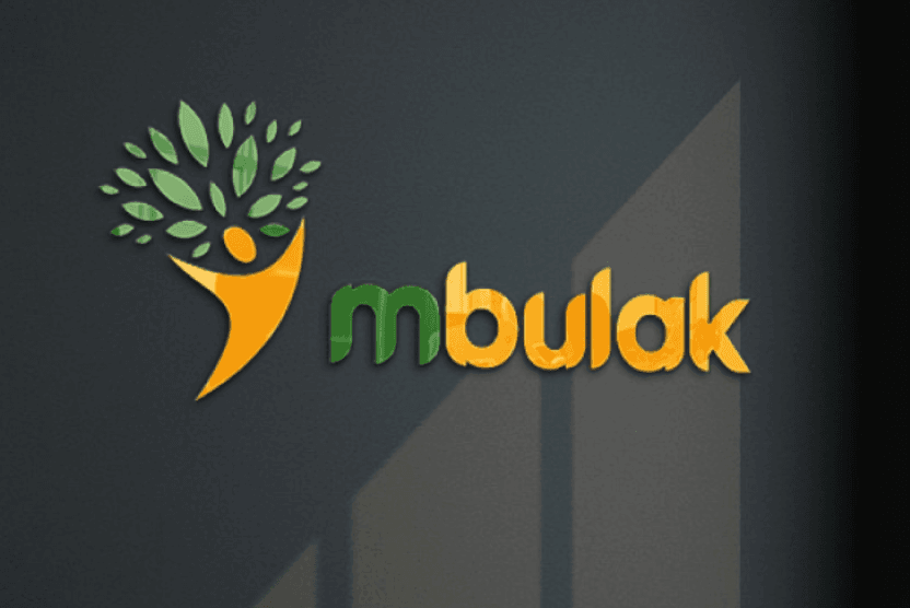 Thumbnail of From Software Engineer to Team Lead at MBulak